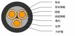 3*2.5，3*3，3*4，3*6，3*10，3*16，3*25屏蔽電纜結(jié)構(gòu)圖