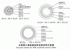 KYJV，KYJVP，KYJV22額定電壓0.6/1kV交聯(lián)聚乙烯絕緣控制電纜