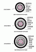 機(jī)車(chē)數(shù)字信號(hào)線鐵路數(shù)字信號(hào)電纜